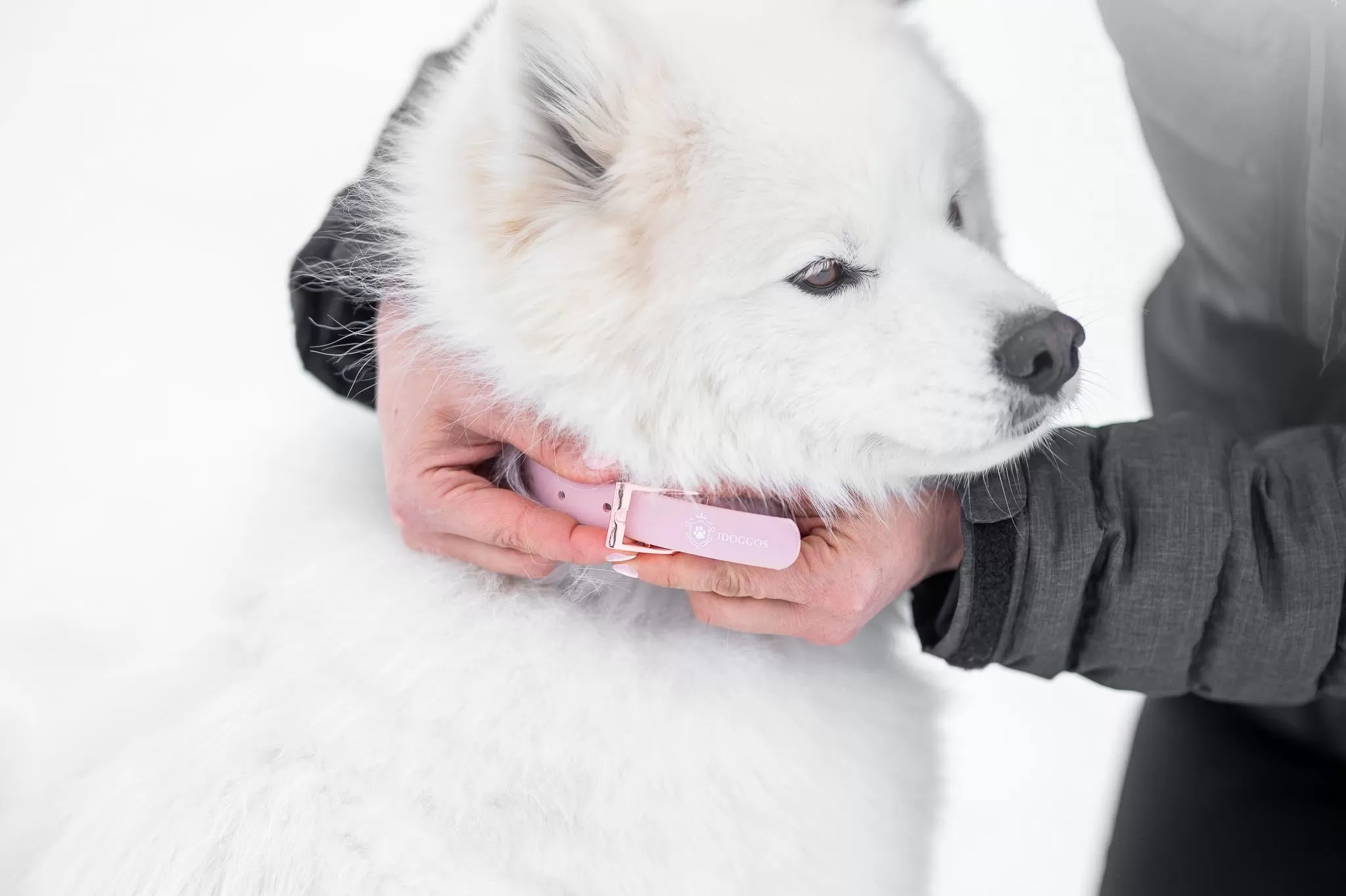 Baby Pink Collar & Leash Set