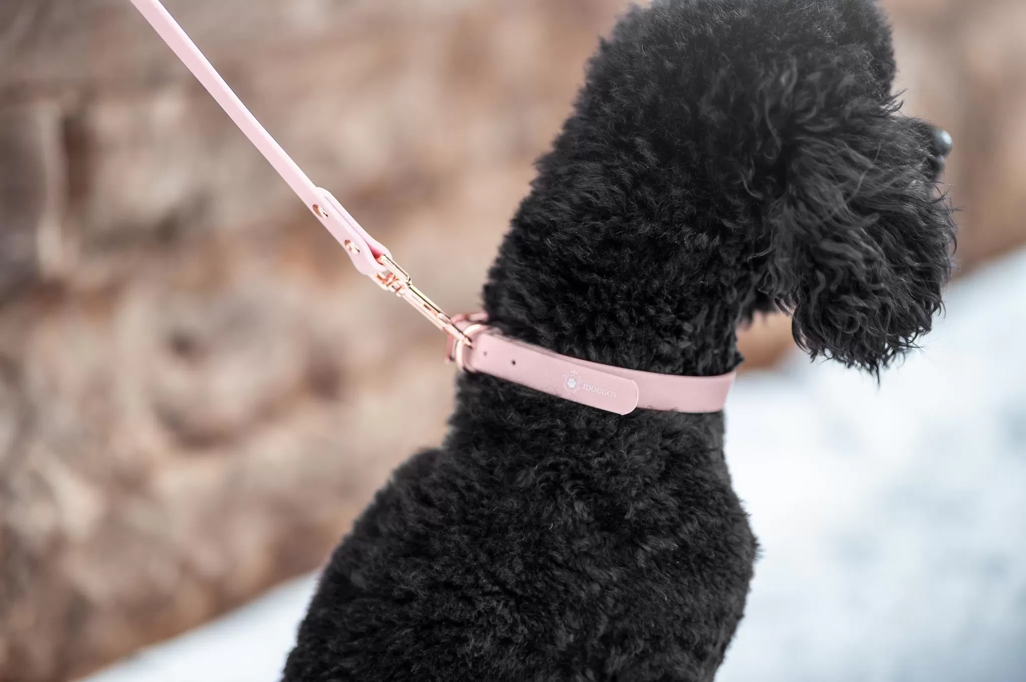 Baby Pink Collar & Leash Set