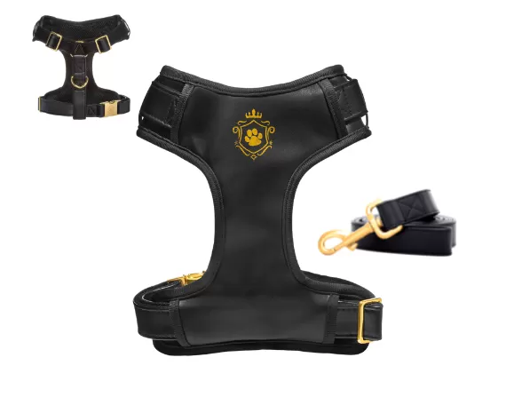 Dark Knight Gold Leash & Harness Set