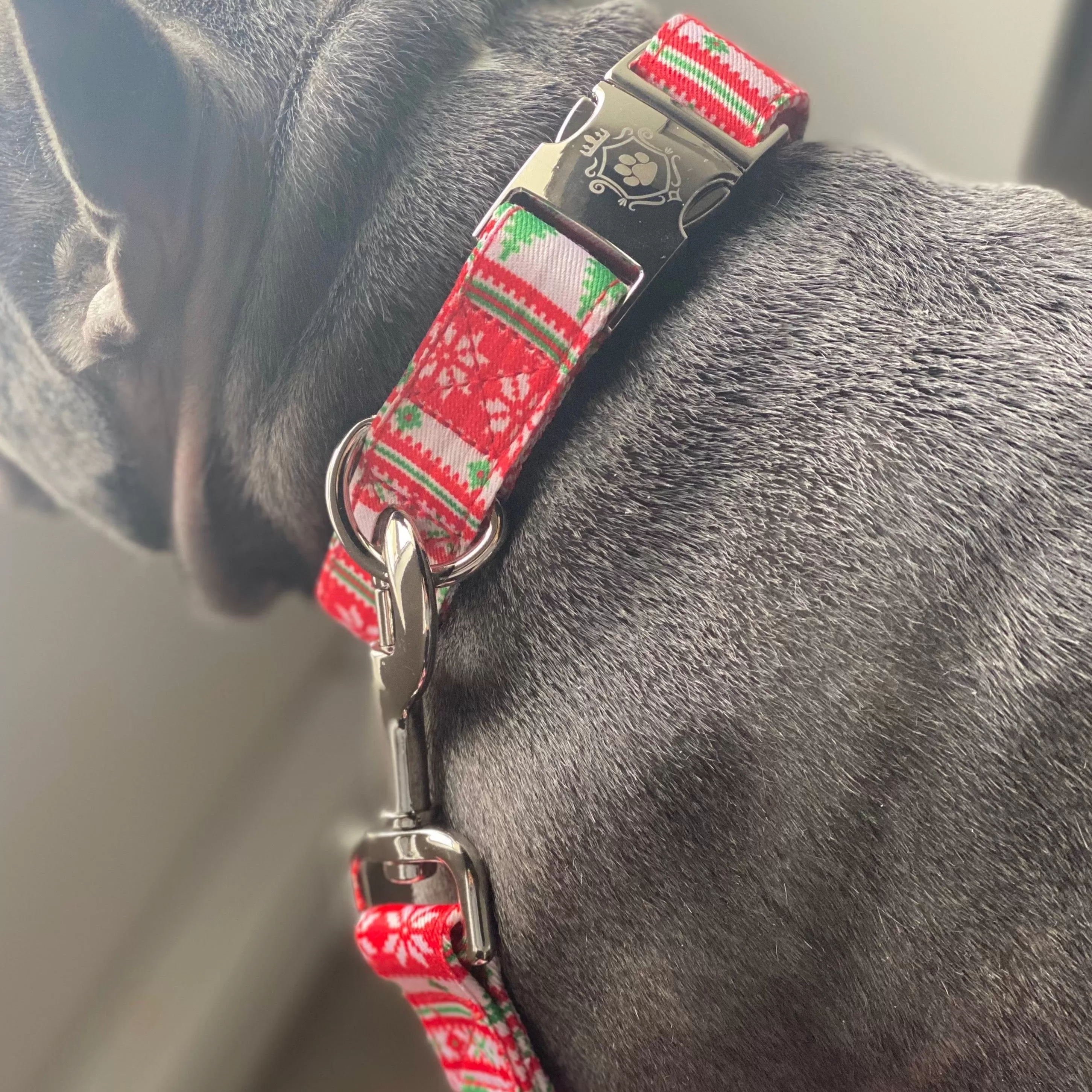 Santa Claus Collar & Leash Set